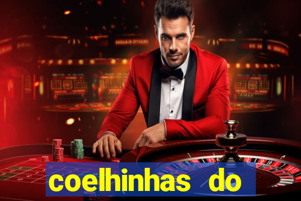 coelhinhas do brasil acompanhantes
